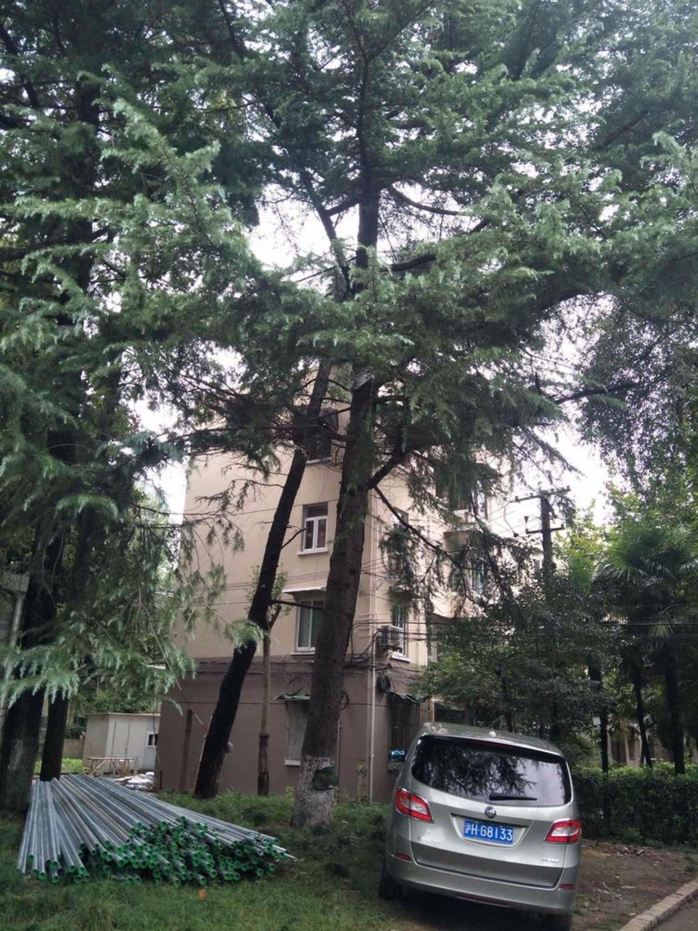 上海同济新村二手房房源图片