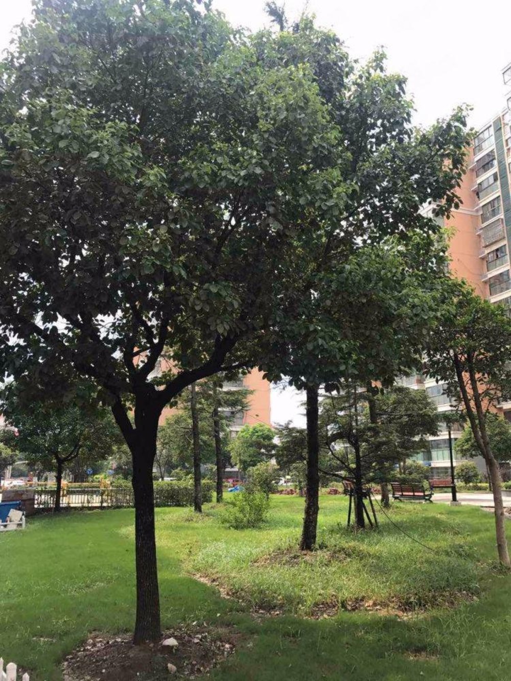 上海剑河家苑二手房房源图片
