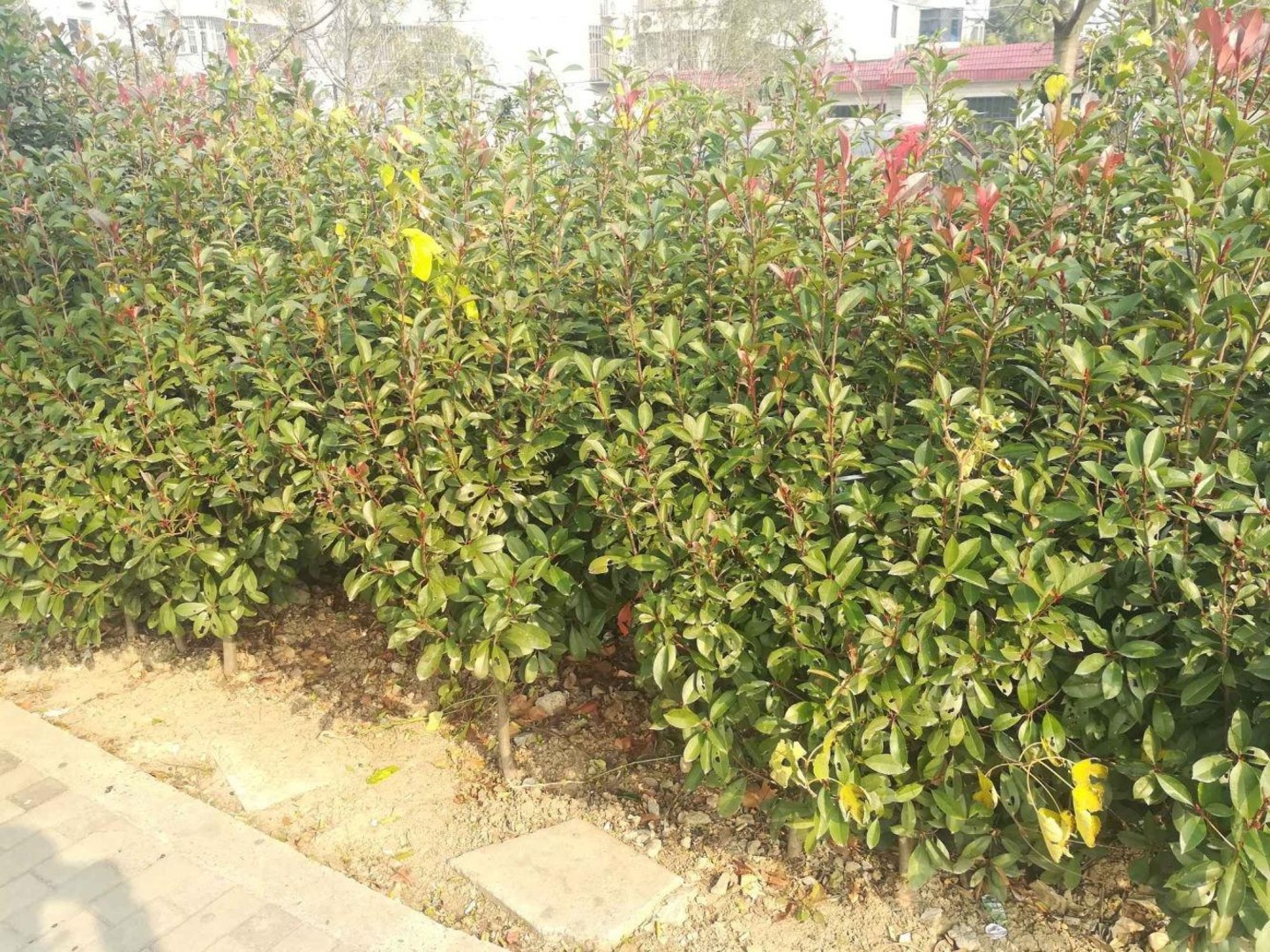 上海新德路341弄小区二手房房源图片
