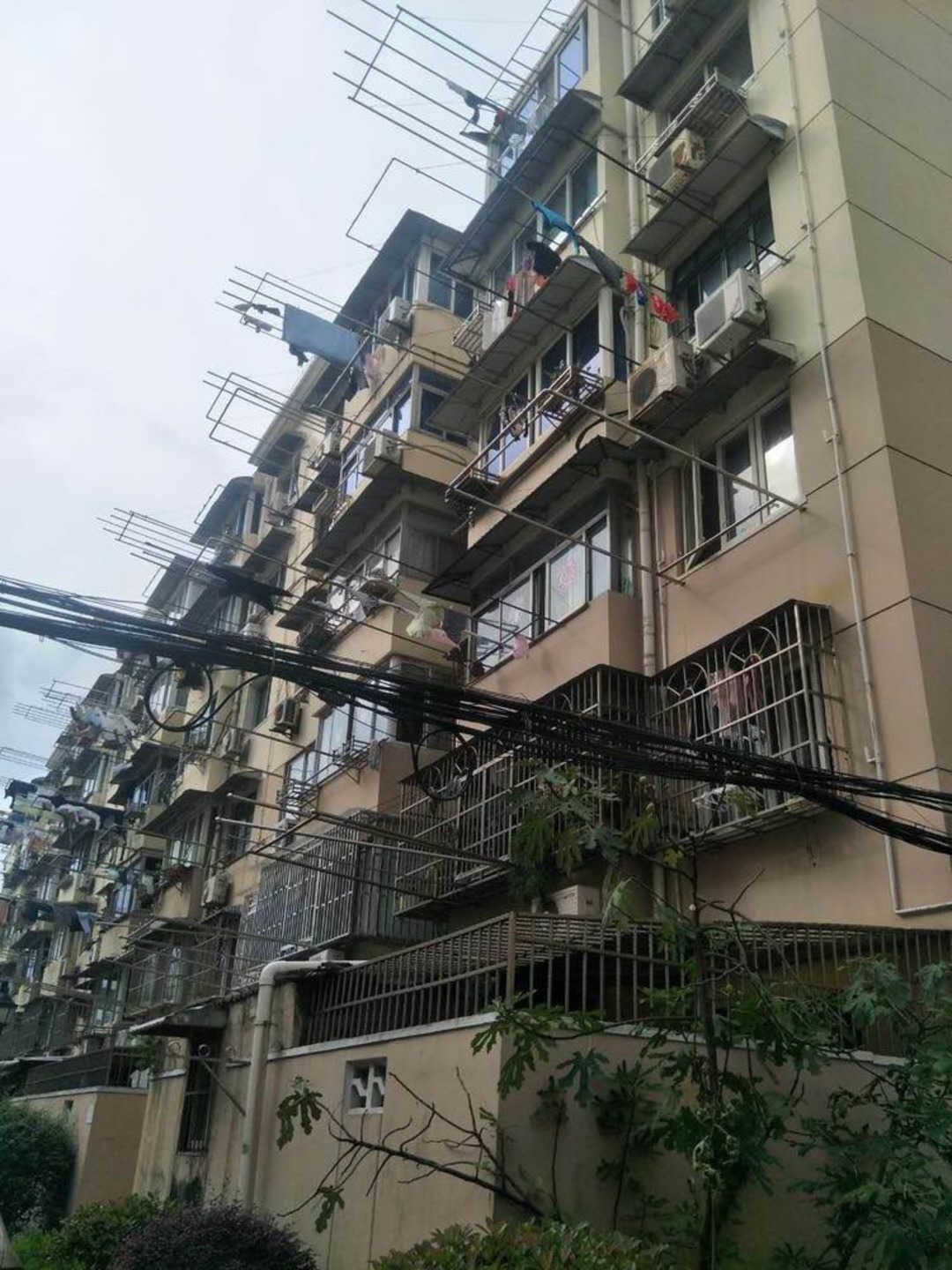 上海晶波坊二手房房源图片