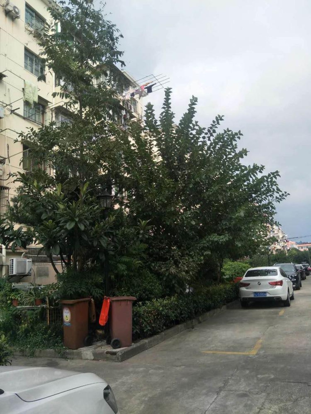 上海晶波坊二手房房源图片