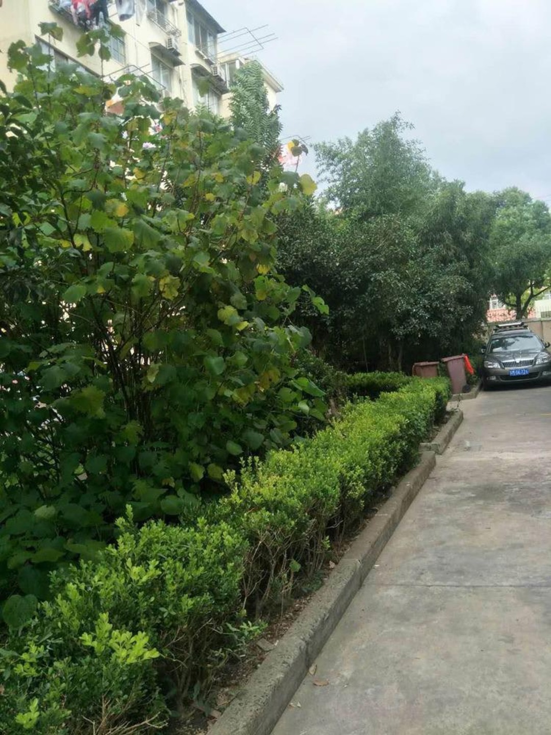 上海晶波坊二手房房源图片