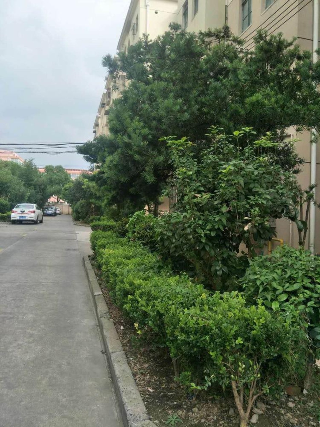 上海晶波坊二手房房源图片