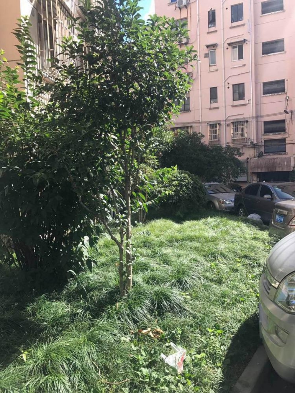 上海虹园六村二手房房源图片
