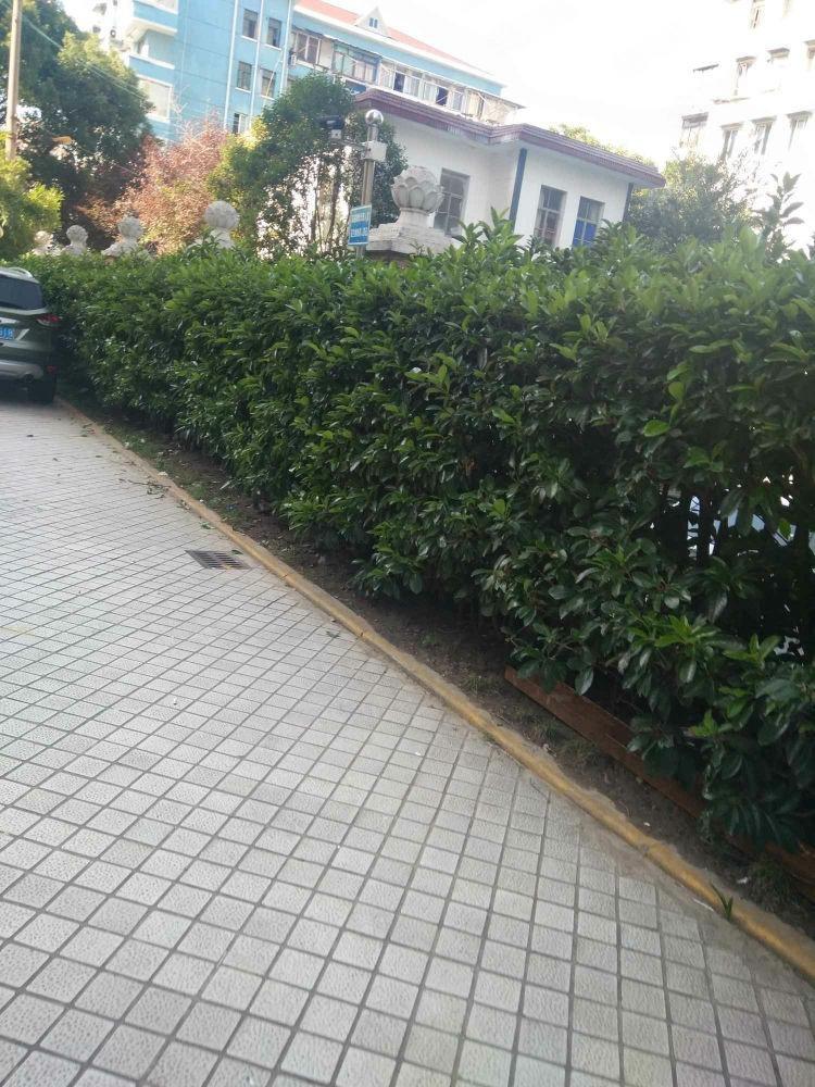 上海万千公寓二手房房源图片