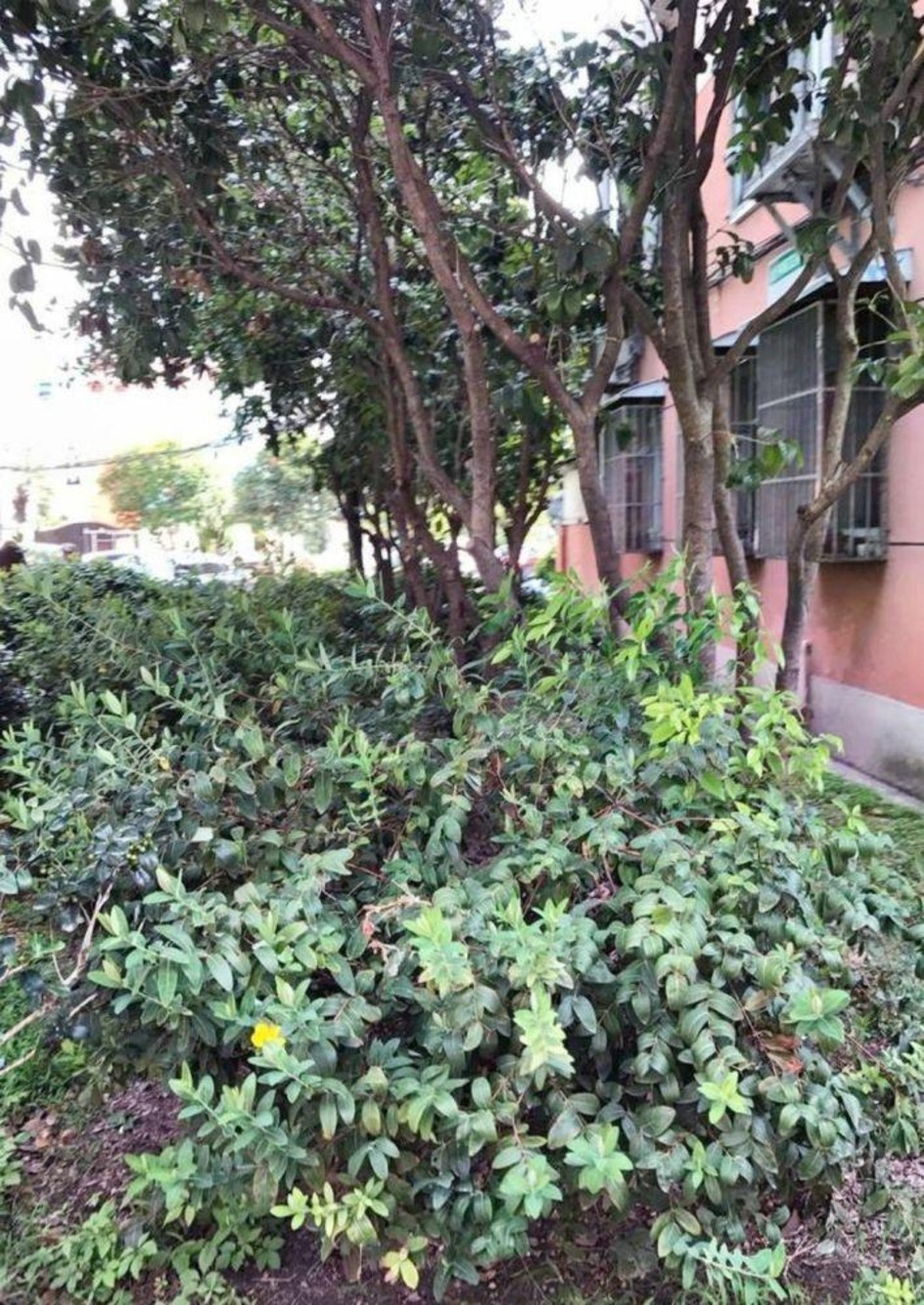 上海新泾七村二手房房源图片