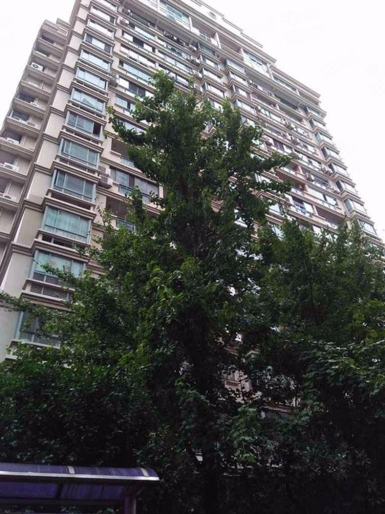 上海复兴佳苑二手房房源图片