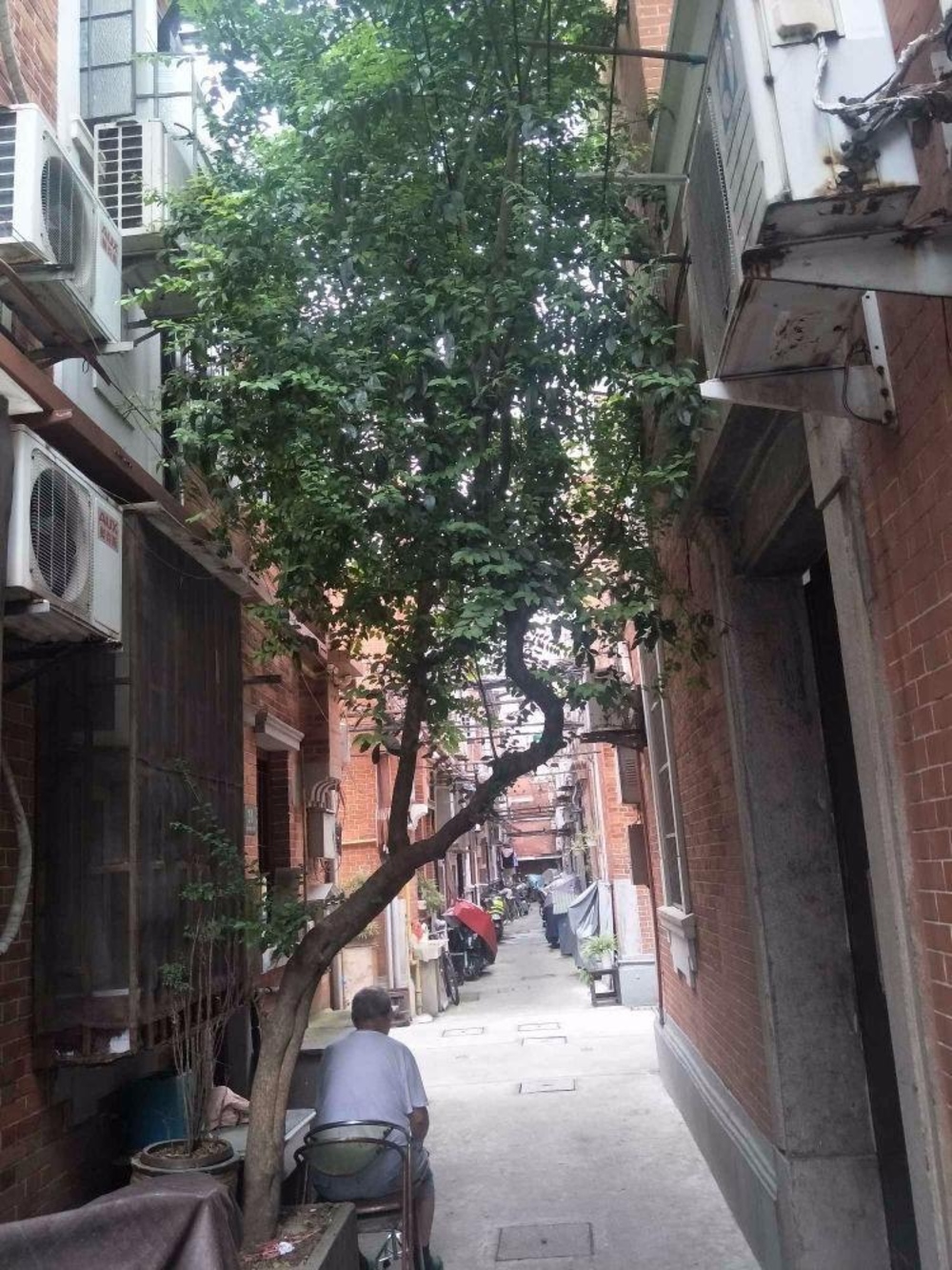 上海延安中路540弄二手房房源图片
