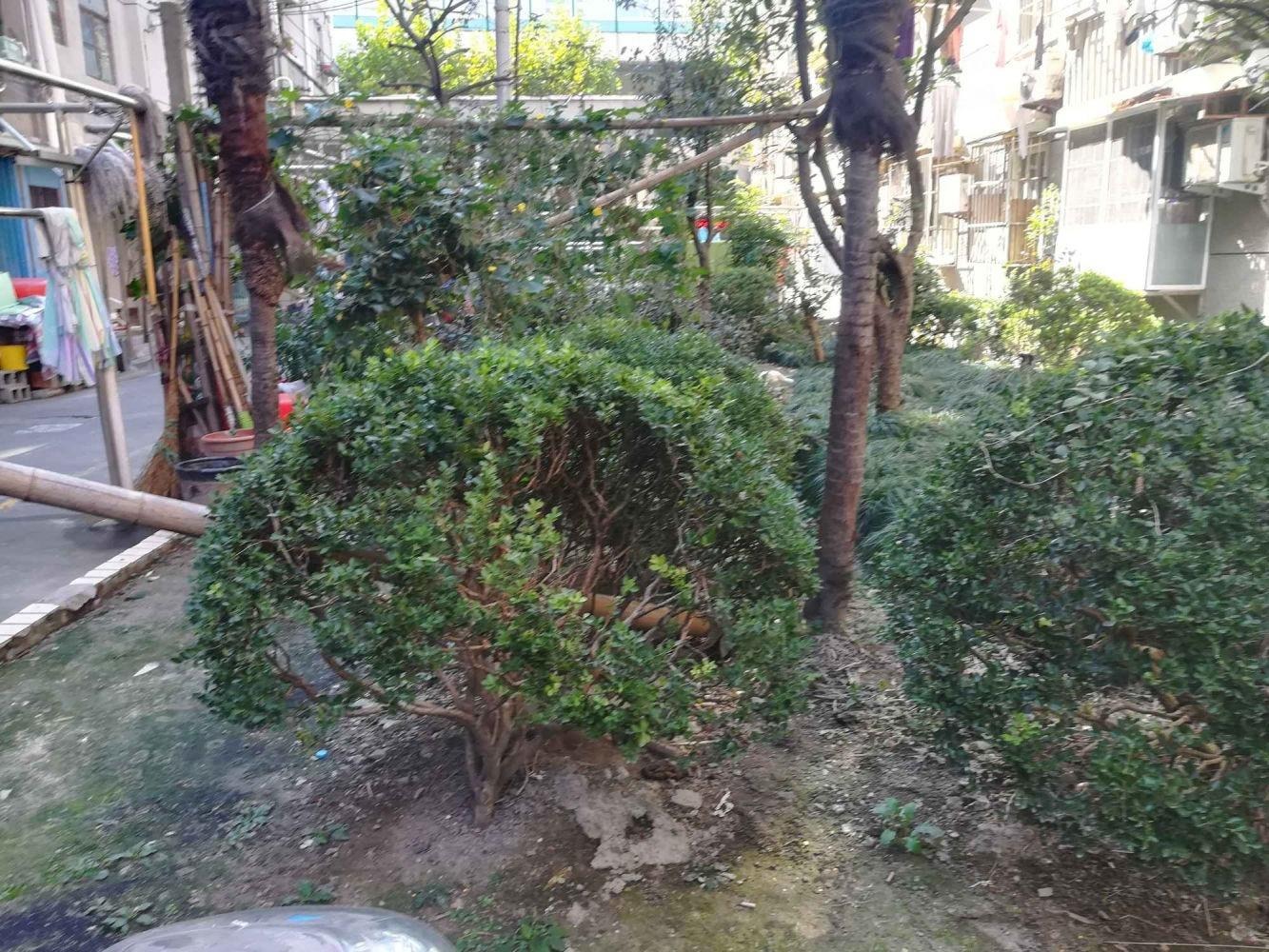 上海斜土路556弄小区二手房房源图片