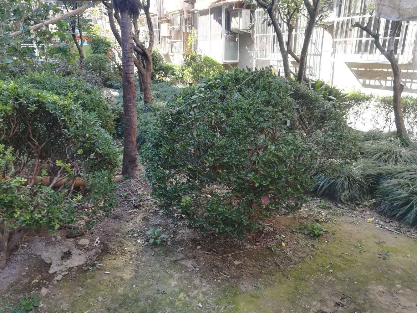 上海斜土路556弄小区二手房房源图片