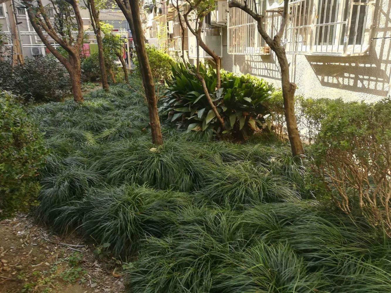上海斜土路556弄小区二手房房源图片