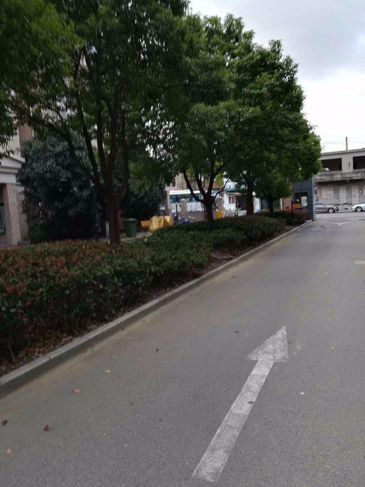 上海高行家园(西区)二手房房源图片