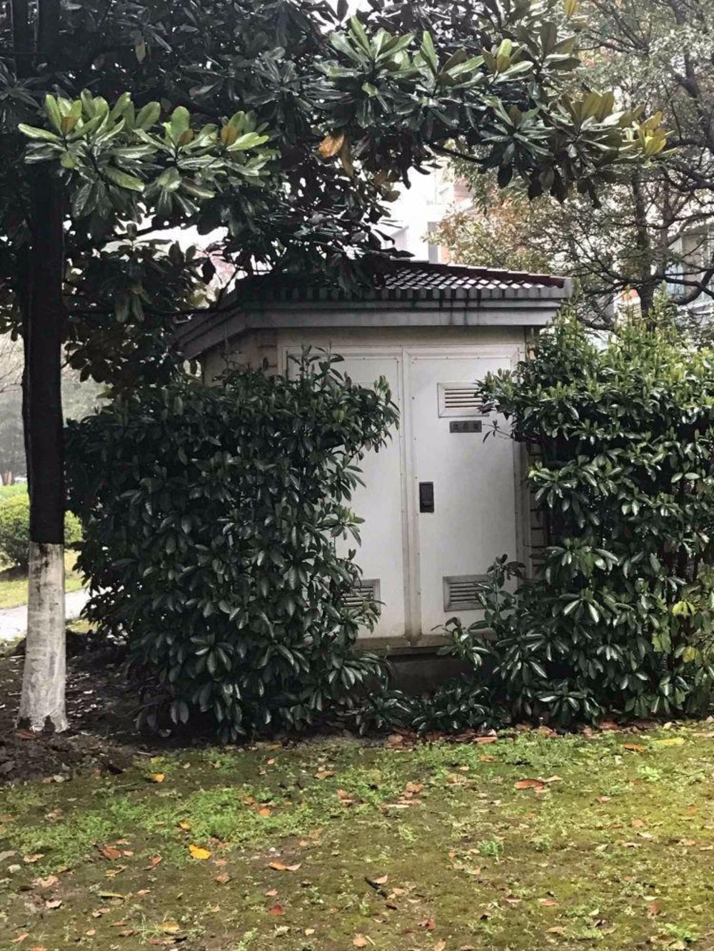上海泰宸雅苑二手房房源图片