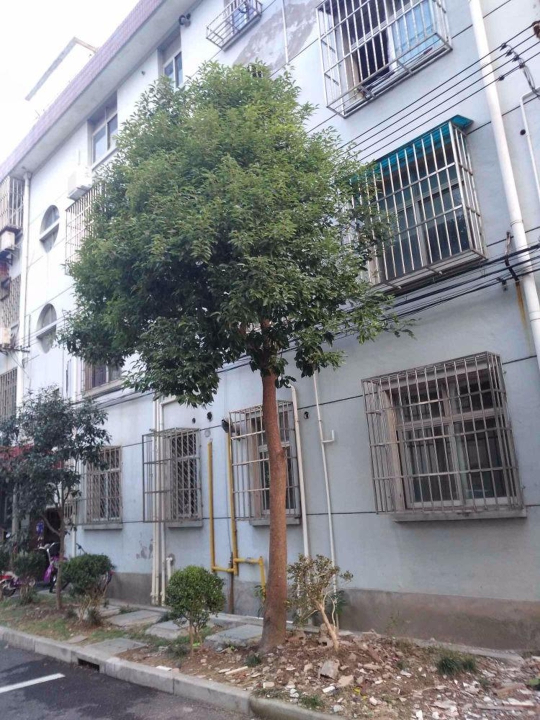 上海曙光路25弄小区二手房房源图片