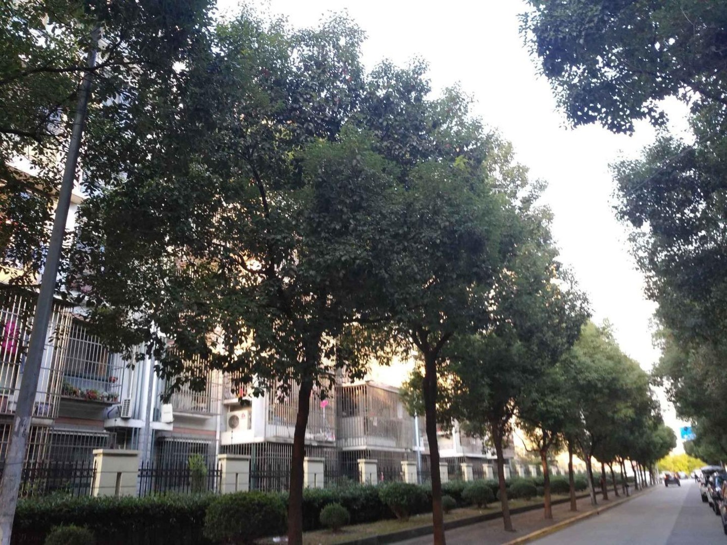 上海曙光南桥小区二手房房源图片