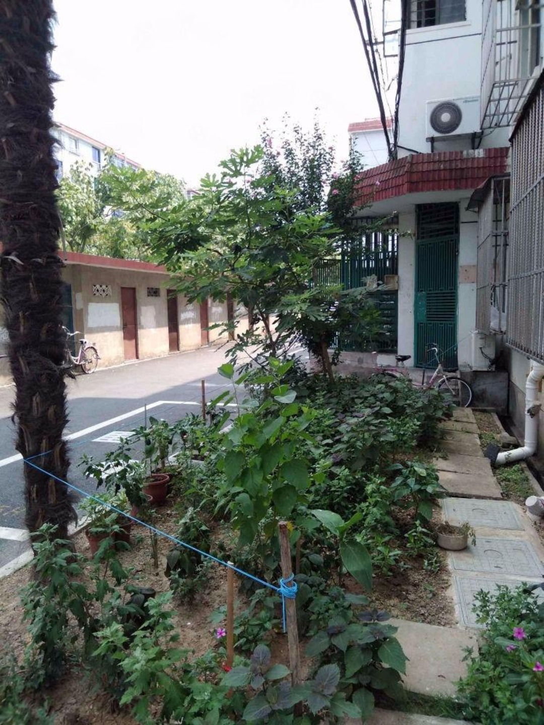 上海曙航苑二手房房源图片