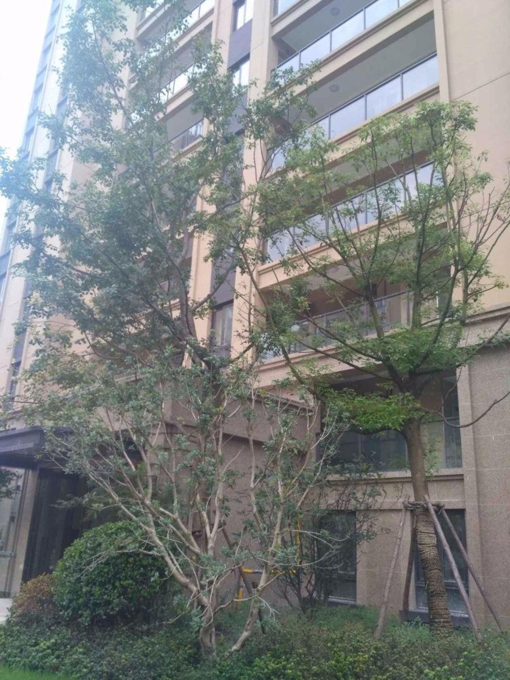 上海李子园一村二手房房源图片
