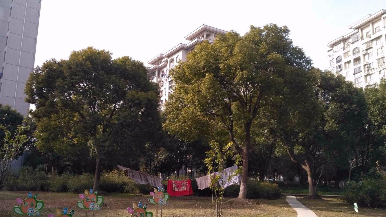 上海君莲小区e块二手房房源图片
