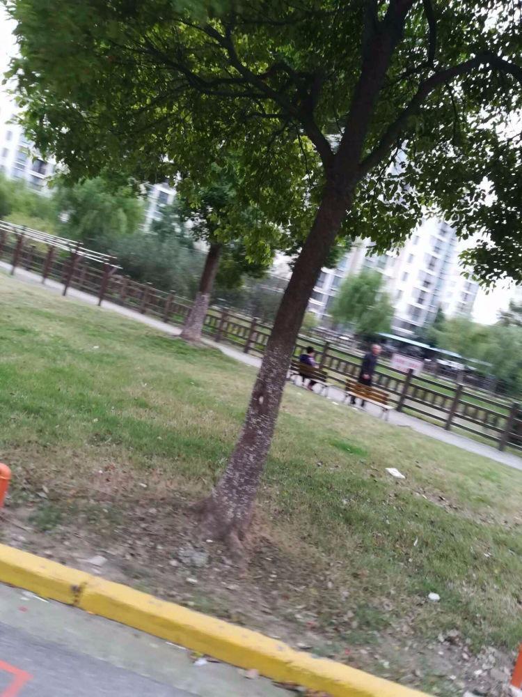 上海新高苑兰园二手房房源图片