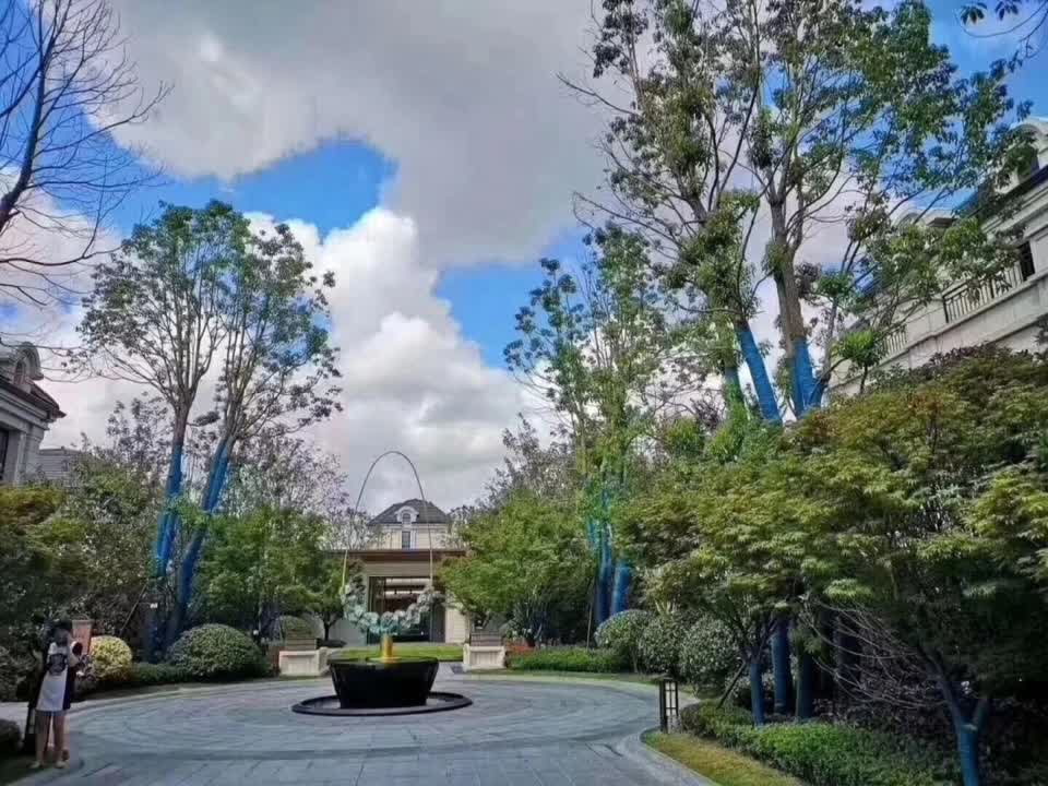 上海铂悦滨江别墅二手房房源图片
