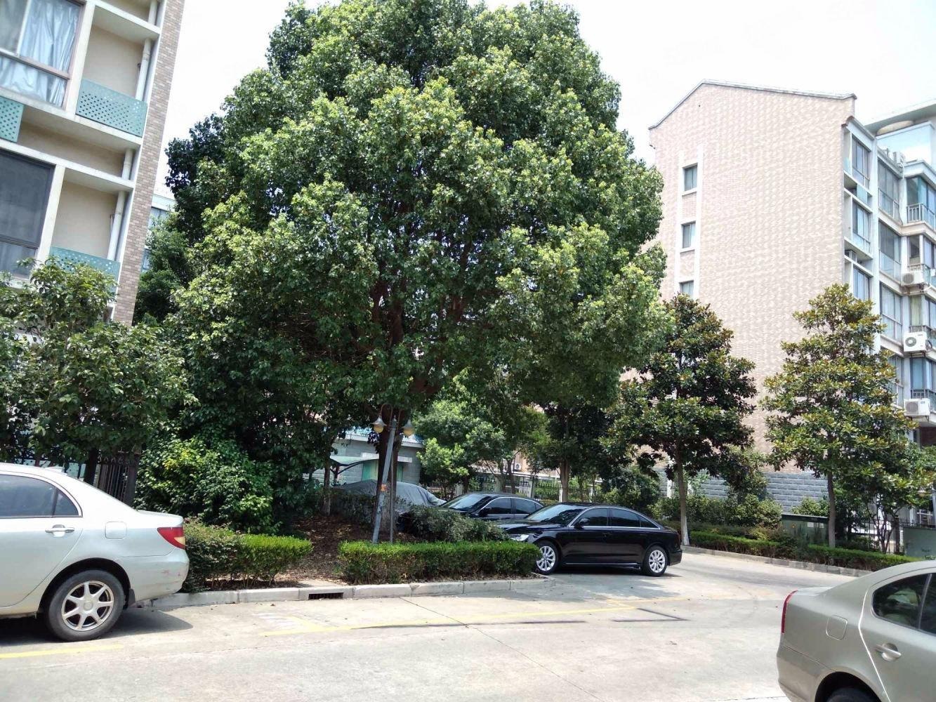 上海界龙阳光苑(西区)二手房房源图片
