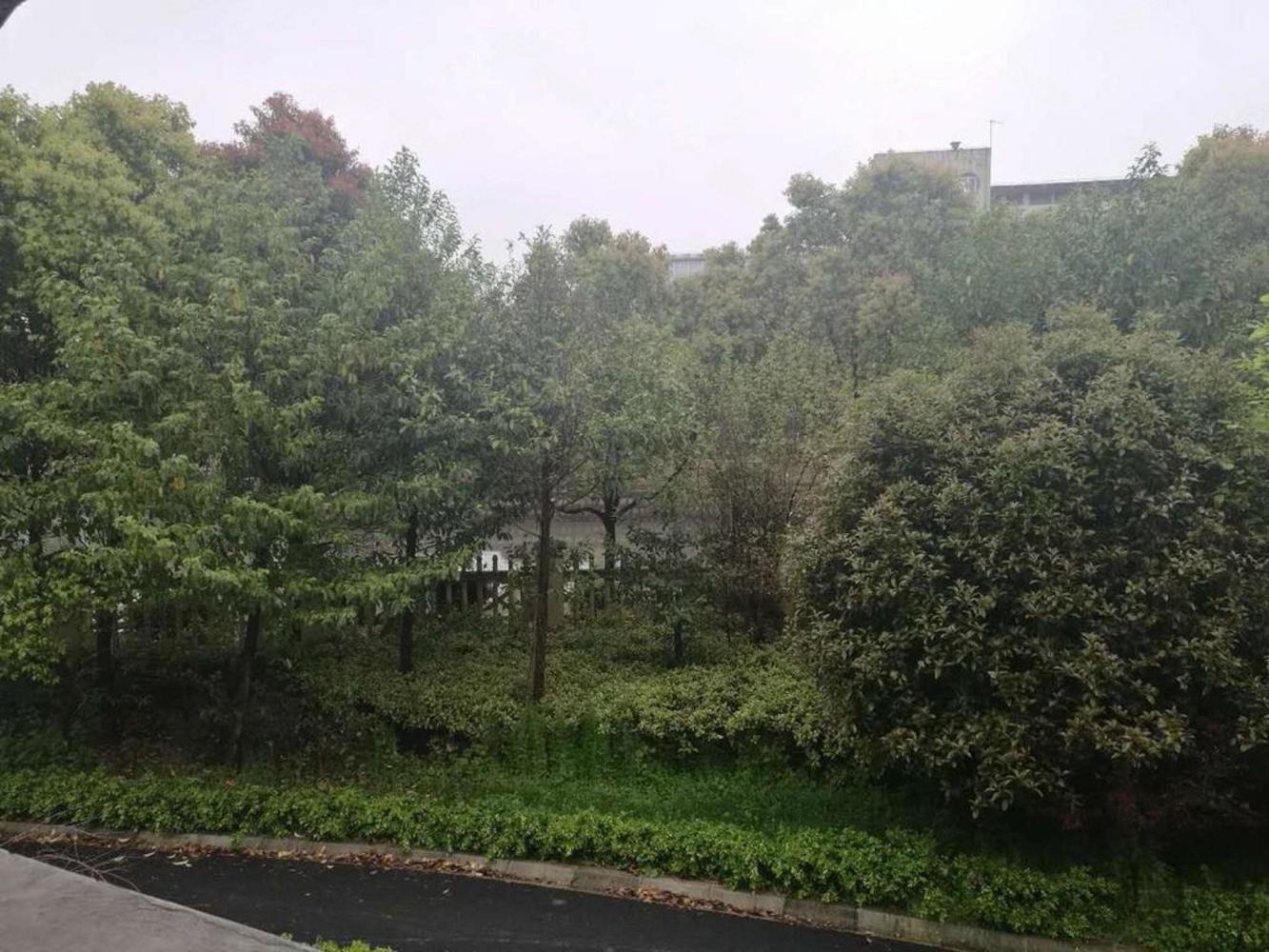 上海雅鹿新苑(一期别墅)二手房房源图片