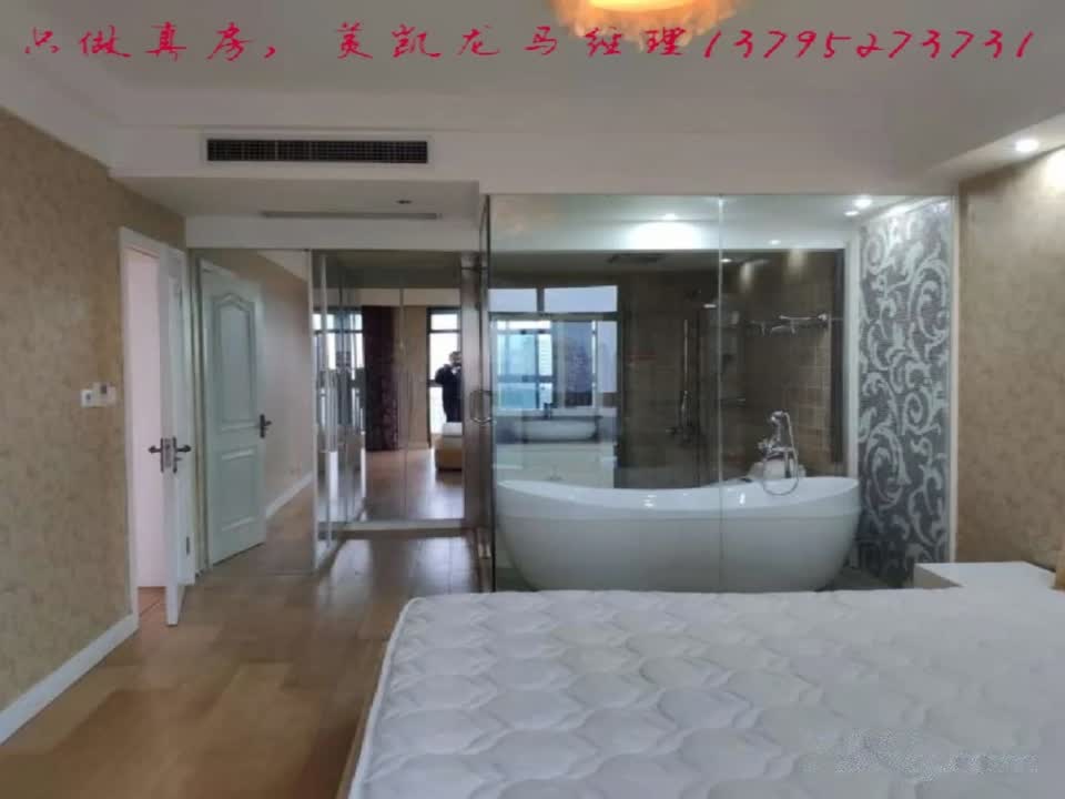 上海陆家嘴国际华城二手房房源图片