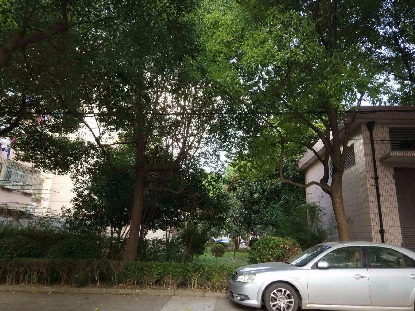 上海安居苑八街坊二手房房源图片