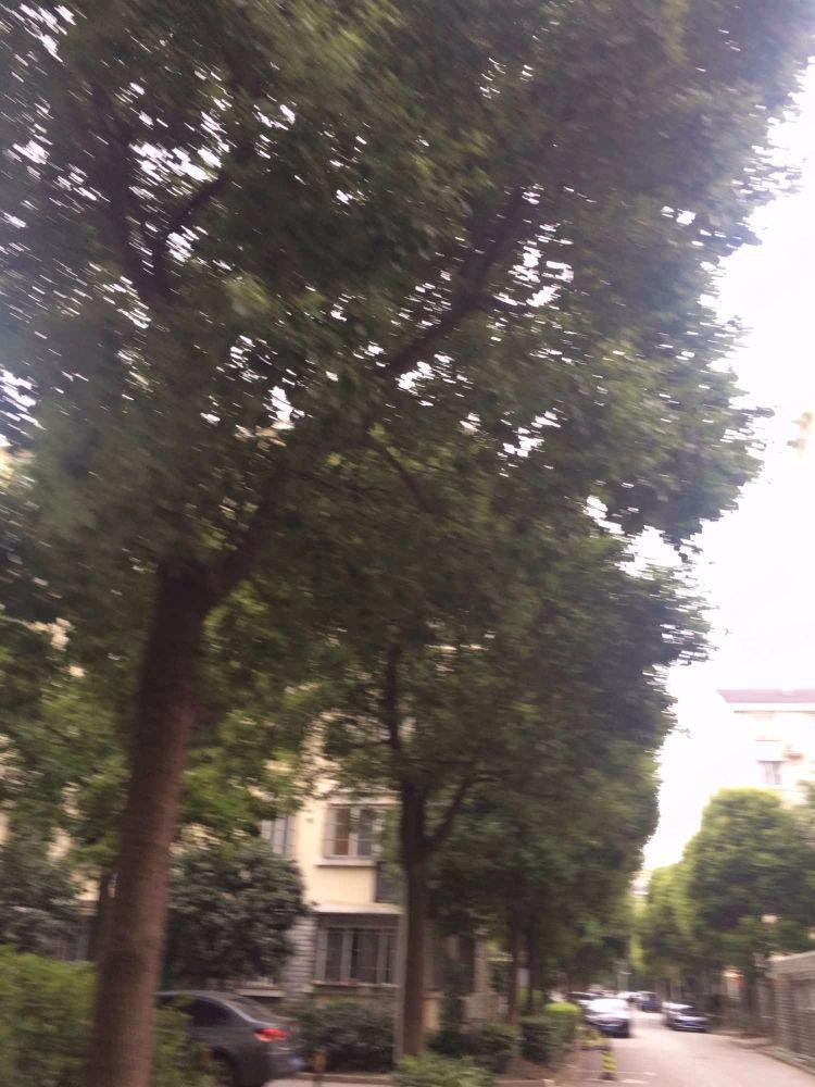 上海正旺苑二手房房源图片