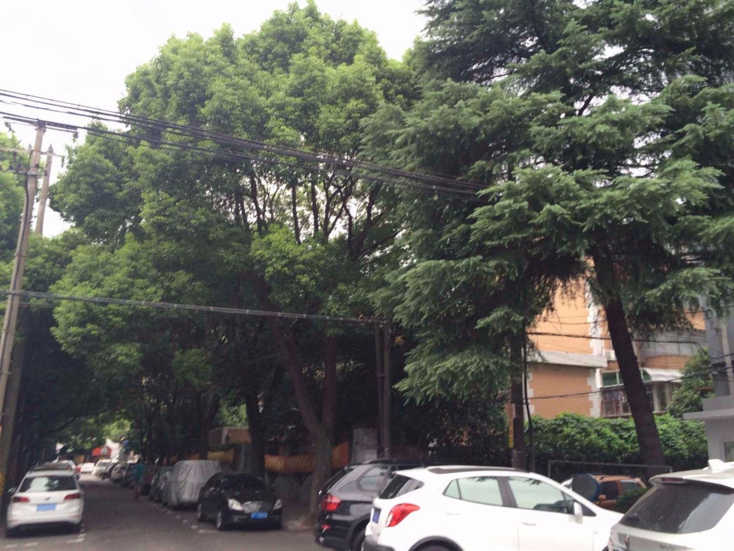 上海华沙一村二手房房源图片