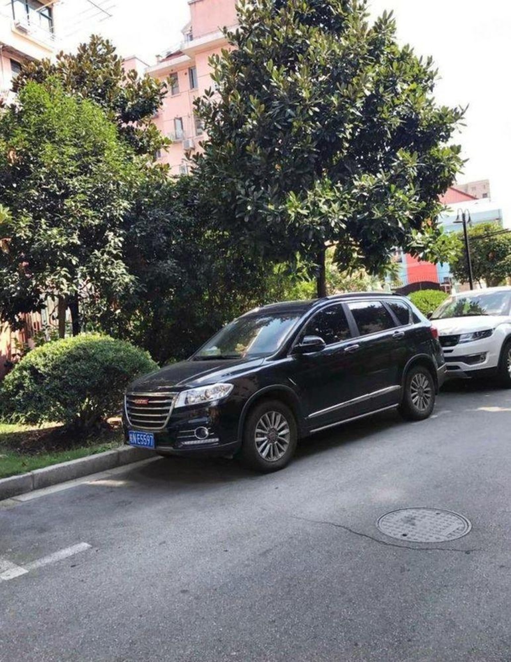 上海新泾七村二手房房源图片