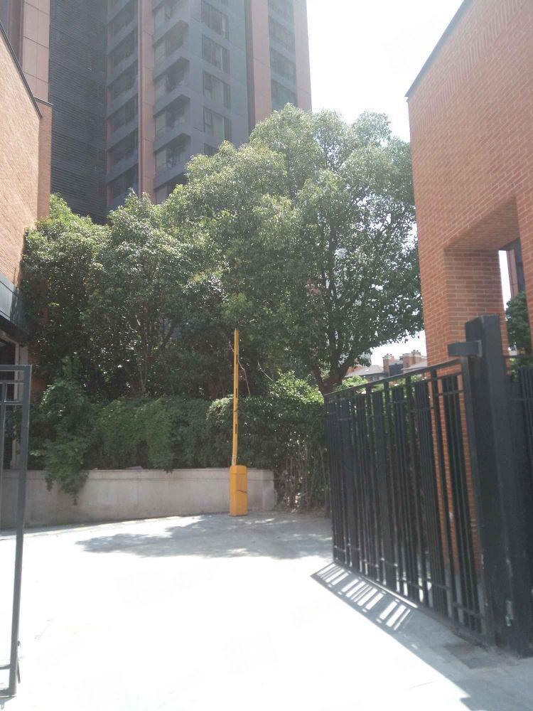上海华侨城苏河湾(公寓住宅)二手房房源图片