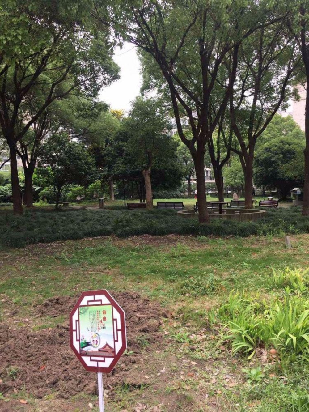 上海绿洲北水湾名邸二手房房源图片