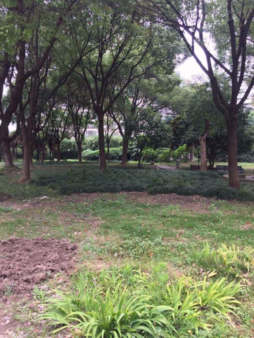 上海绿洲北水湾名邸二手房房源图片