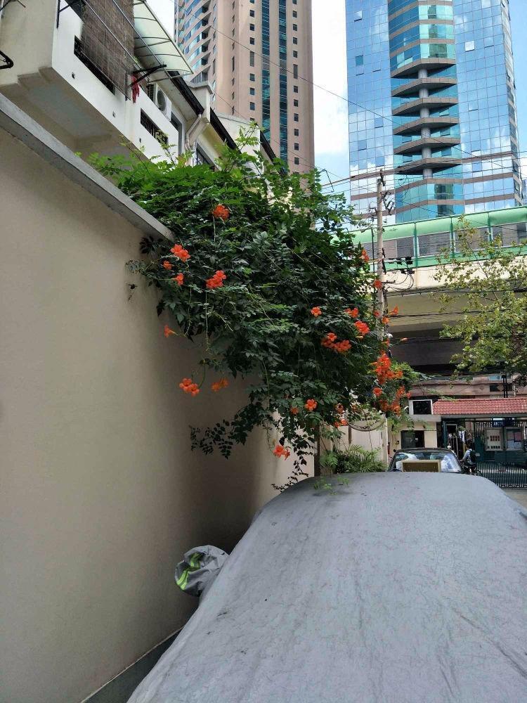 上海成都北路515弄小区二手房房源图片