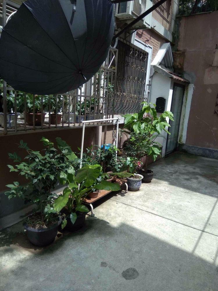 上海大兴里二手房房源图片