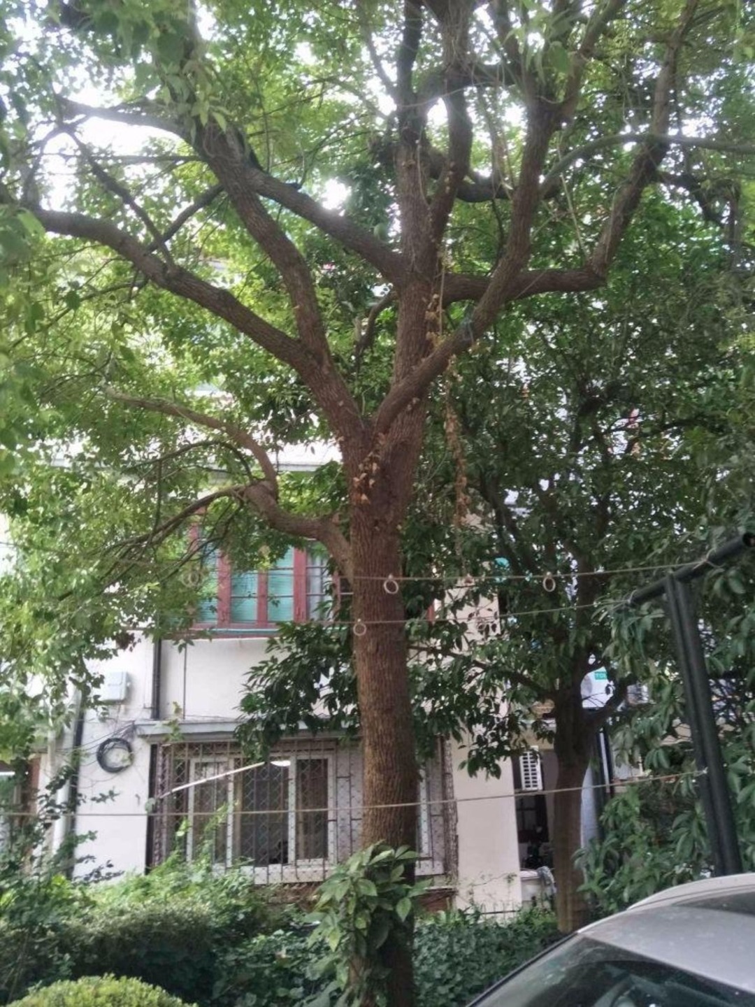 上海陕西北路119弄二手房房源图片