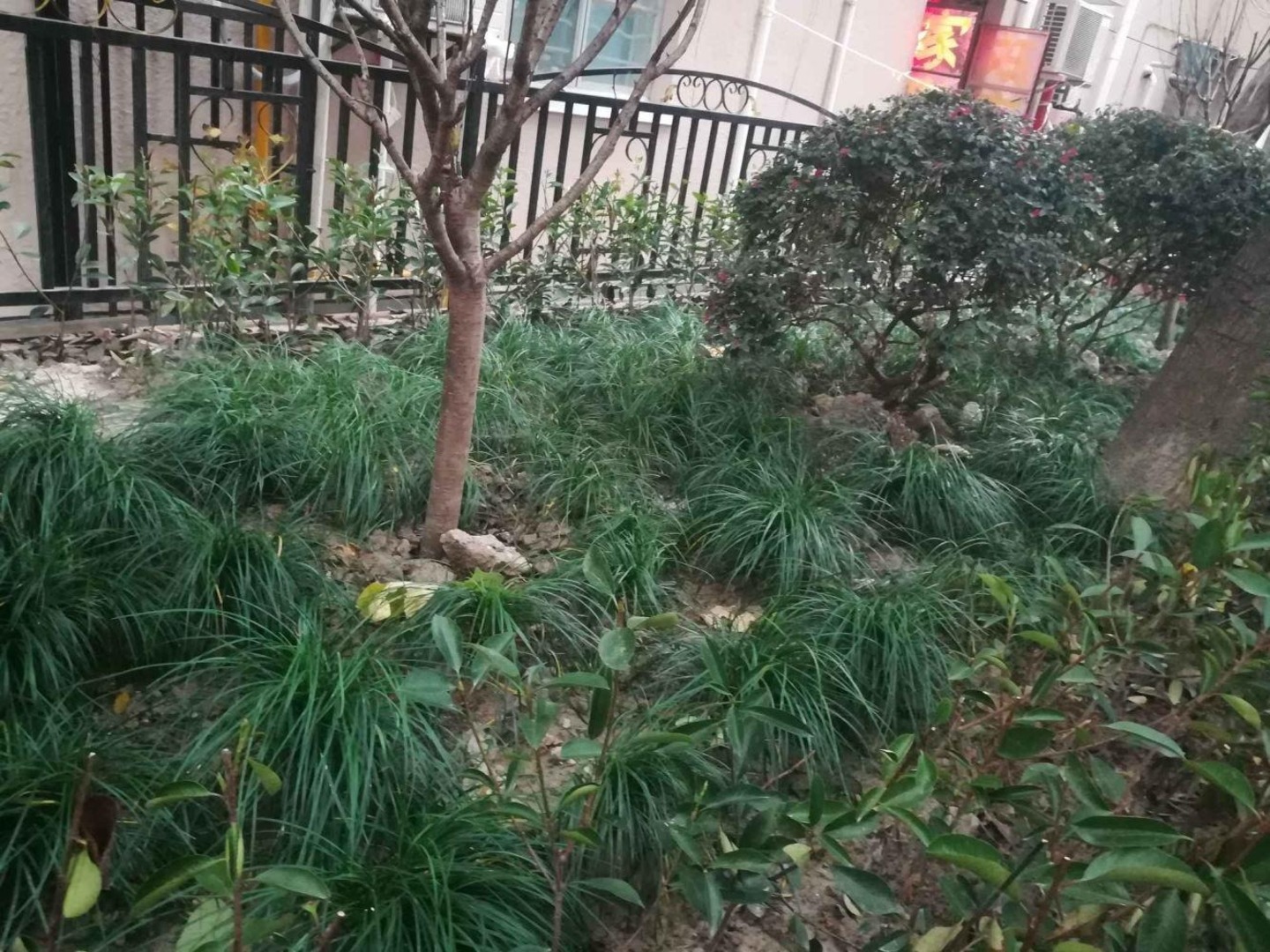上海瞿溪路830弄公房二手房房源图片