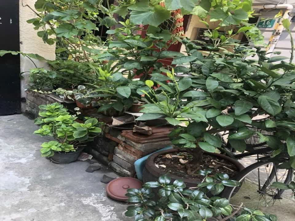 上海铜仁小区二手房房源图片