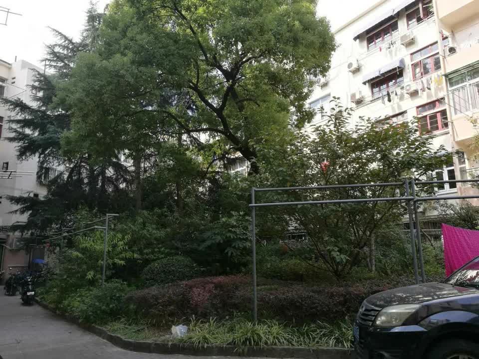 上海中行小区二手房房源图片