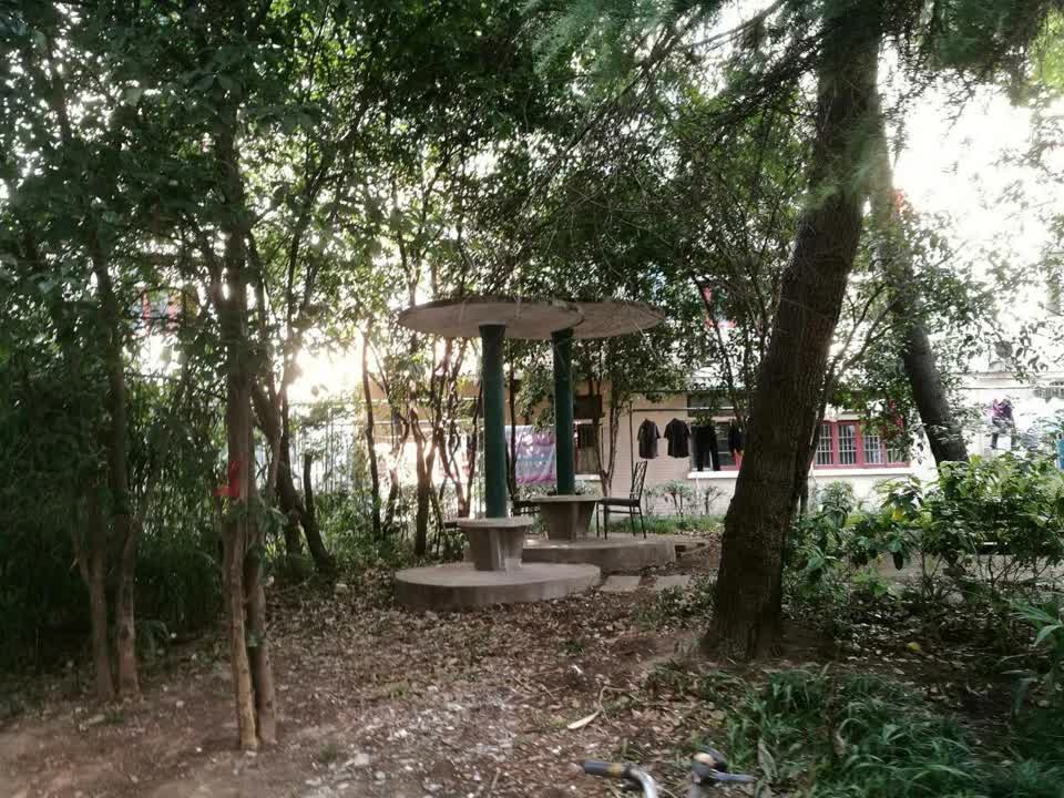 上海中行小区二手房房源图片