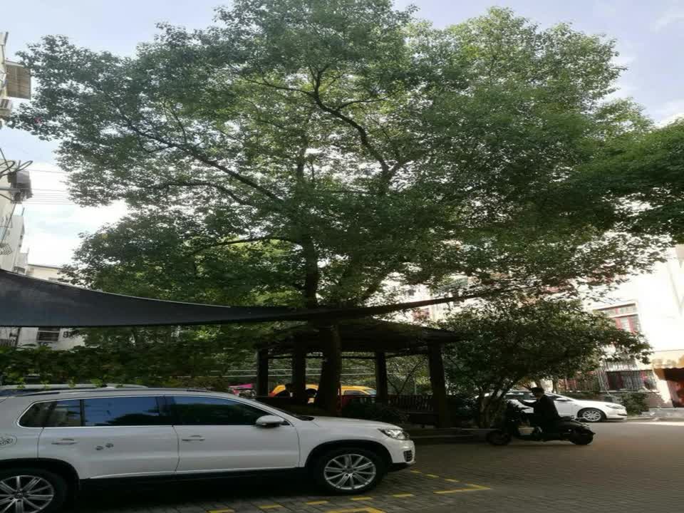 上海中行小区二手房房源图片