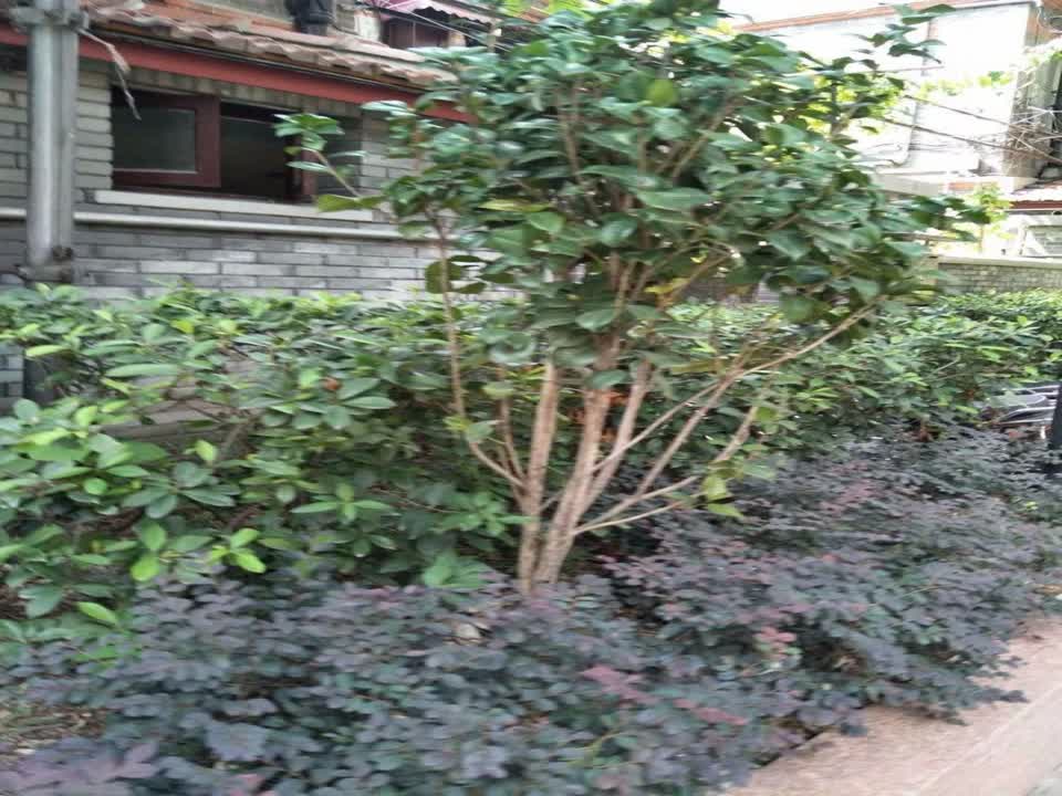 上海西王小区二手房房源图片