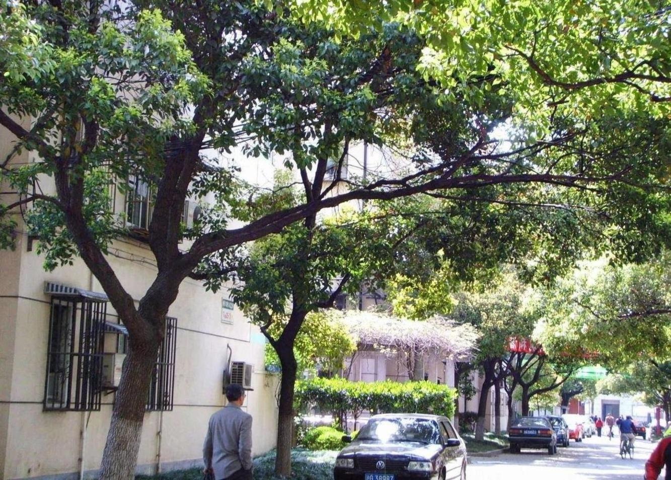 上海李子园别墅二手房房源图片