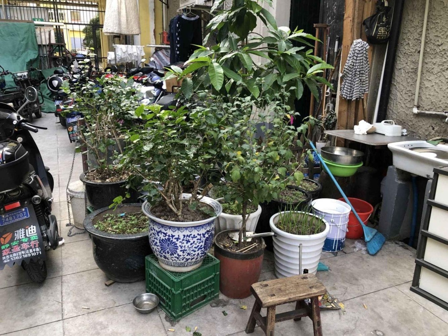 上海陕西北路535弄小区二手房房源图片