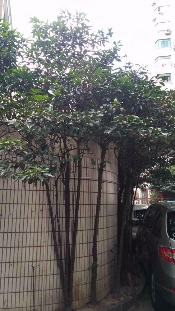 上海开源大厦二手房房源图片