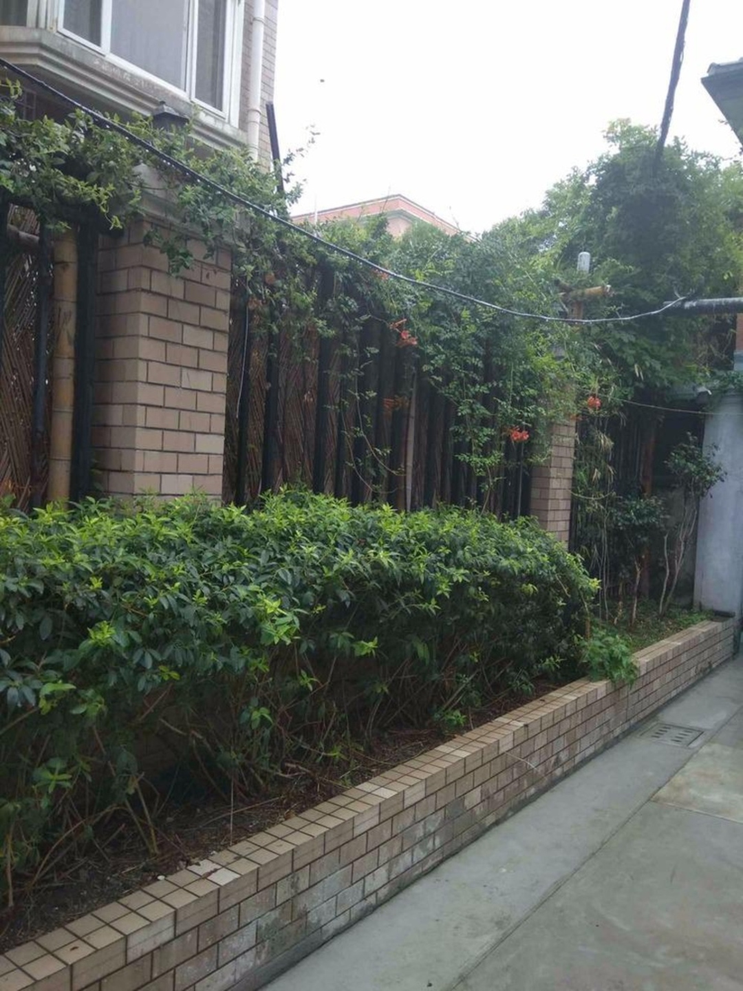 上海延中社区二手房房源图片