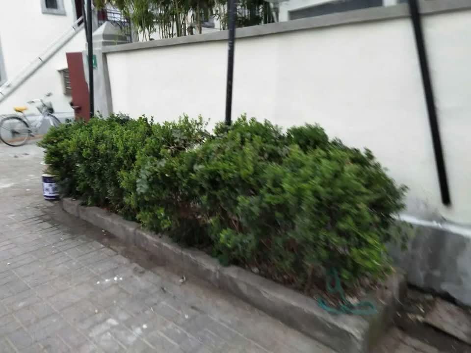 上海长乐新村二手房房源图片