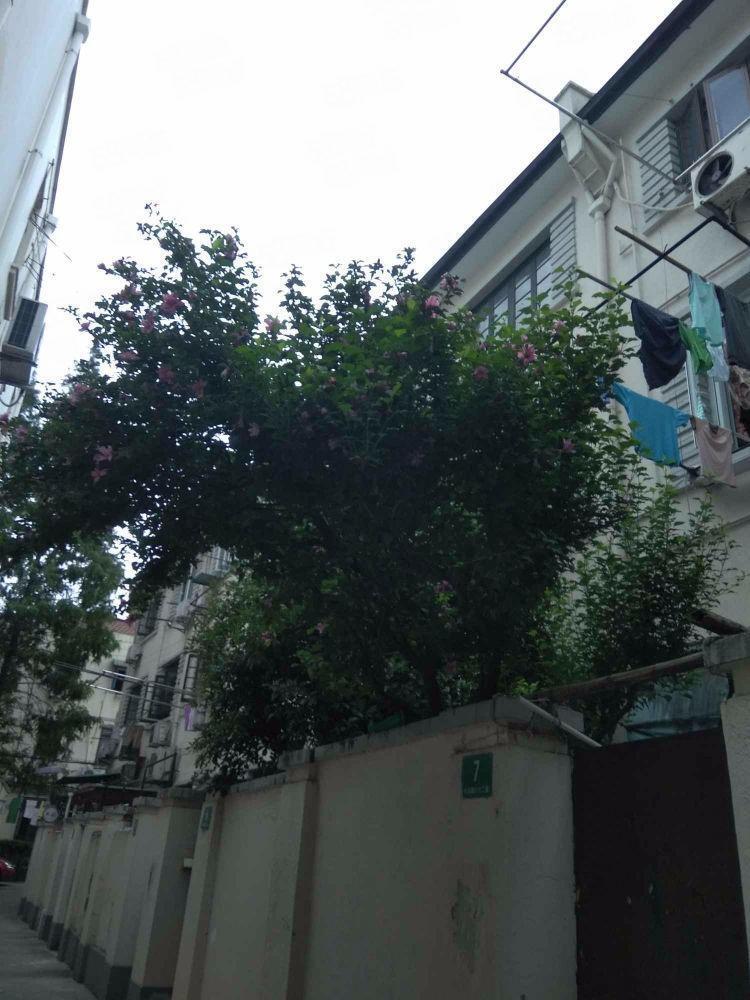 上海长乐路672弄二手房房源图片
