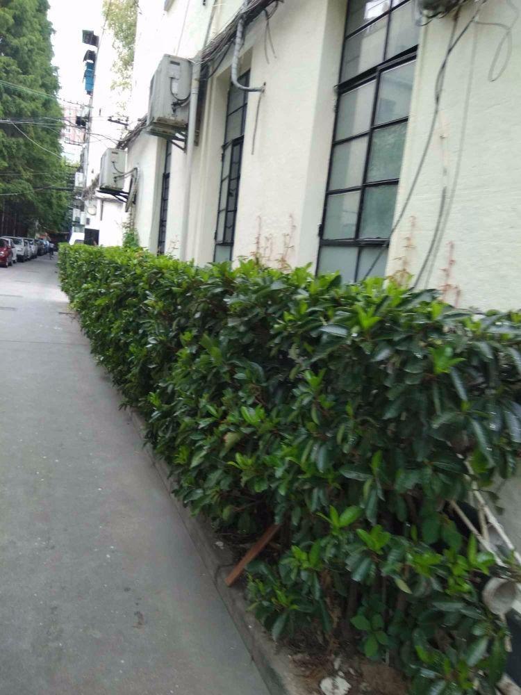 上海长乐路672弄二手房房源图片